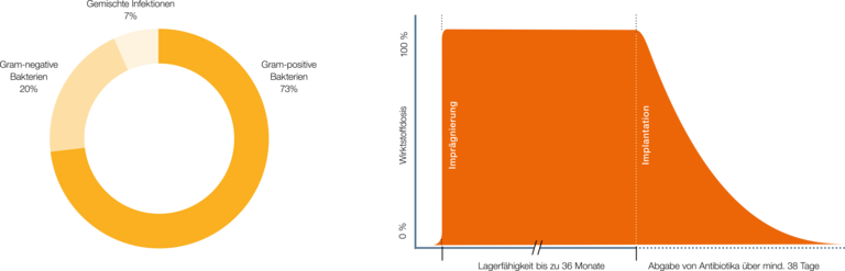 Diagramm: Anteil gram-positive Bakterien, Lagerfähigkeit bis 36 Monate