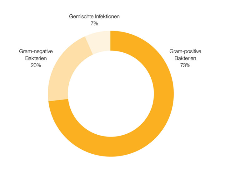 Gafik Xabo: zu Gram-posiv und Gram-negativ Bakterien